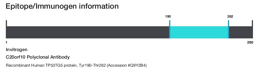 C20orf10 Polyclonal Antibody
