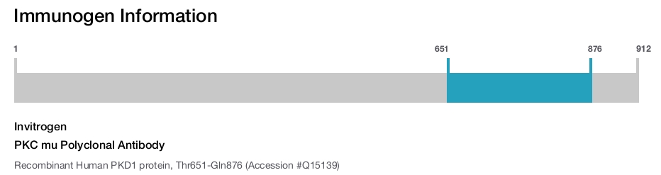 PKC mu Polyclonal Antibody