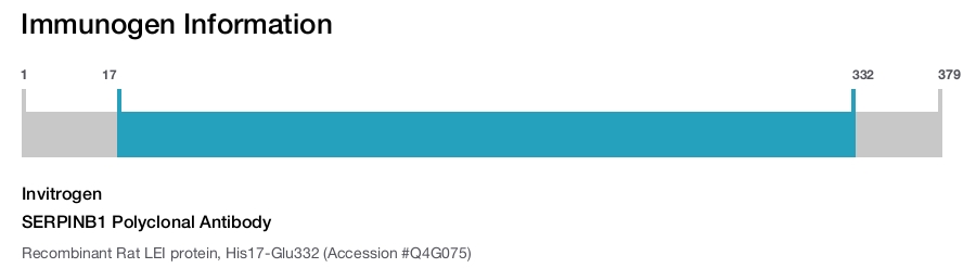SERPINB1 Polyclonal Antibody