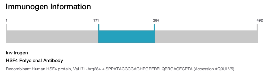 HSF4 Polyclonal Antibody