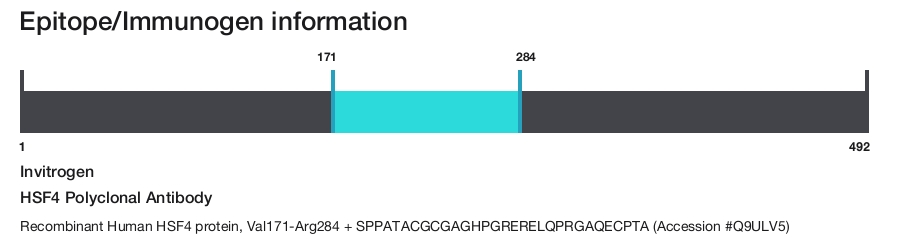 HSF4 Polyclonal Antibody