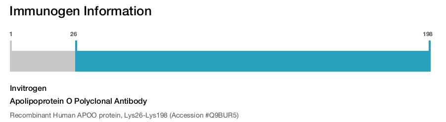 Apolipoprotein O Polyclonal Antibody