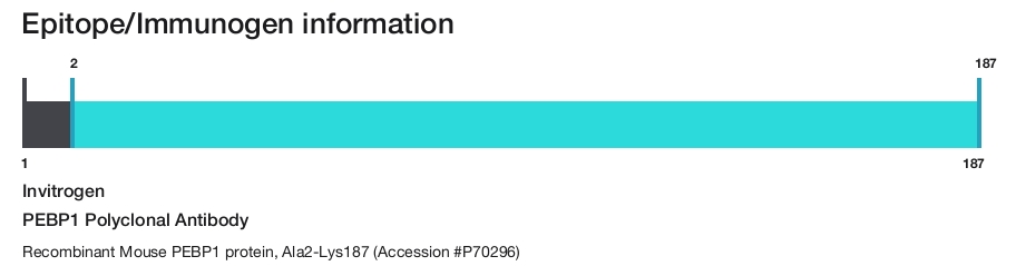 PEBP1 Polyclonal Antibody