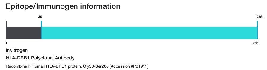 HLA-DRB1 Polyclonal Antibody
