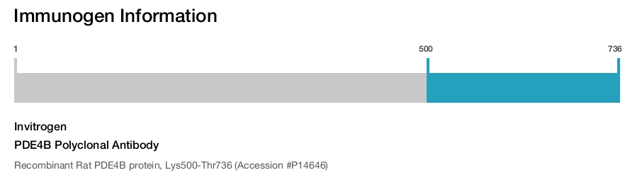 PDE4B Polyclonal Antibody