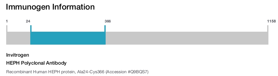 HEPH Polyclonal Antibody