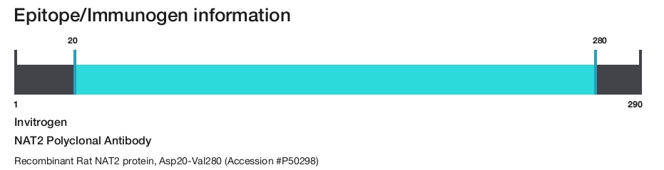 NAT2 Polyclonal Antibody