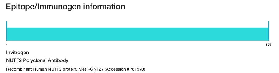 NUTF2 Polyclonal Antibody