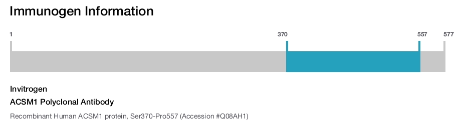 ACSM1 Polyclonal Antibody
