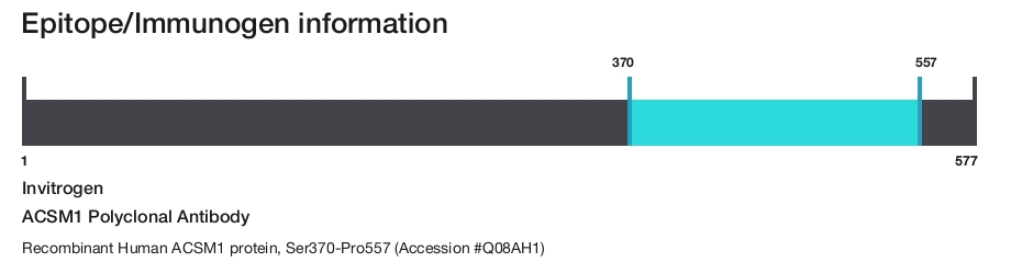 ACSM1 Polyclonal Antibody