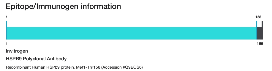 HSPB9 Polyclonal Antibody