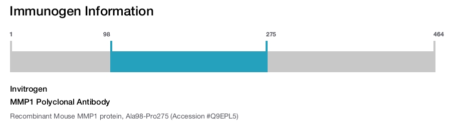 MMP1 Polyclonal Antibody