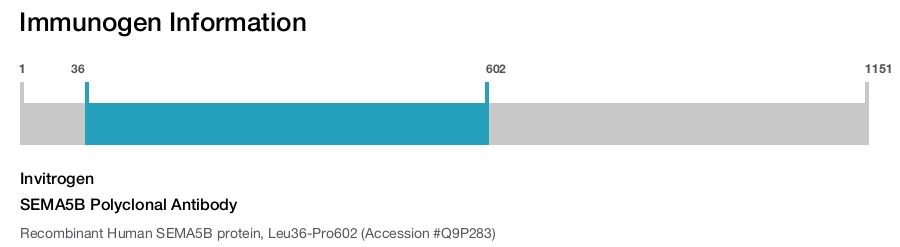 SEMA5B Polyclonal Antibody