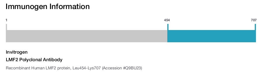 LMF2 Polyclonal Antibody
