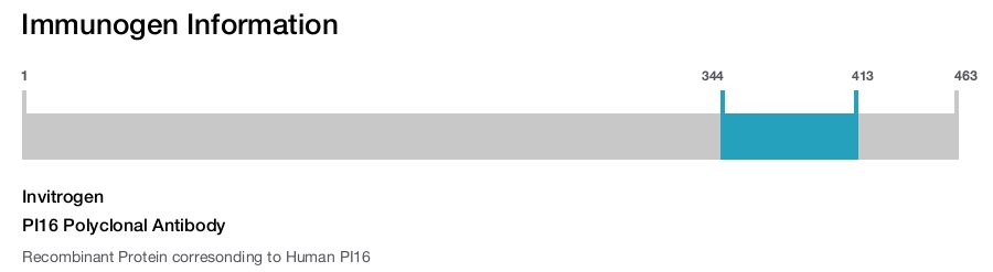 PI16 Polyclonal Antibody