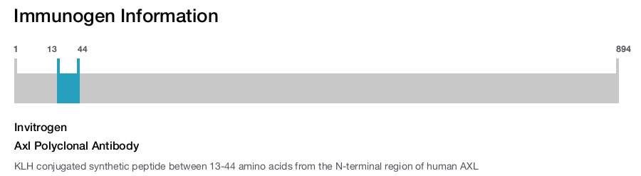 Axl Polyclonal Antibody