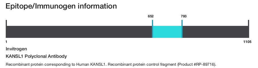 KANSL1 Polyclonal Antibody