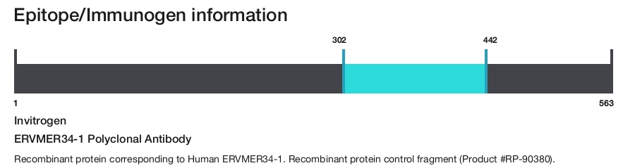 ERVMER34-1 Polyclonal Antibody