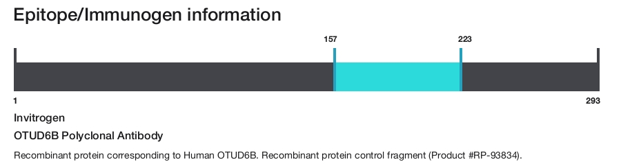 OTUD6B Polyclonal Antibody
