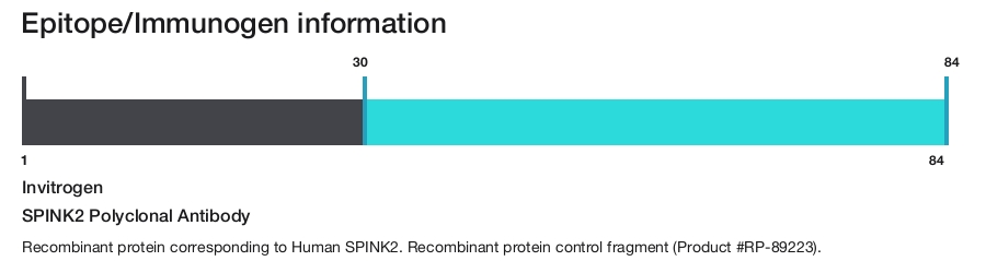 SPINK2 Polyclonal Antibody