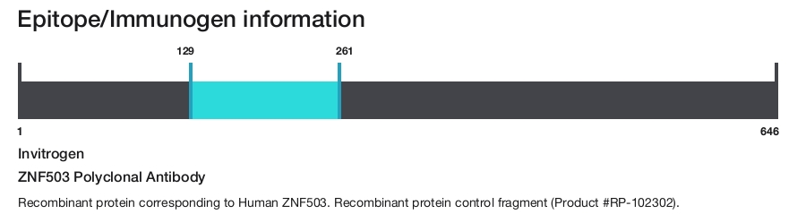 ZNF503 Polyclonal Antibody