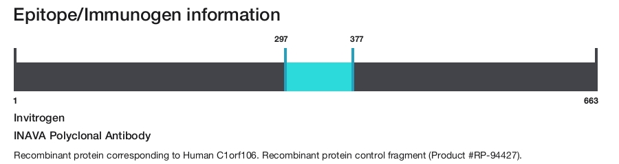 INAVA Polyclonal Antibody