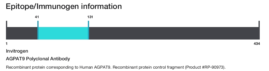 AGPAT9 Polyclonal Antibody