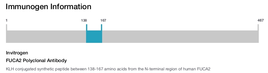 FUCA2 Polyclonal Antibody