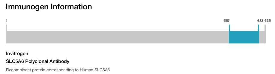 SLC5A6 Polyclonal Antibody