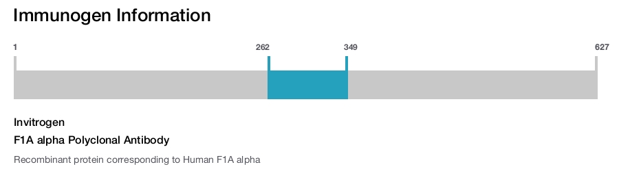 F1A alpha Polyclonal Antibody