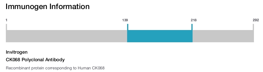 CK068 Polyclonal Antibody