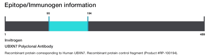 UBXN7 Polyclonal Antibody