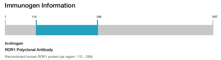 ROR1 Polyclonal Antibody