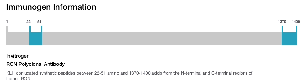 RON Polyclonal Antibody
