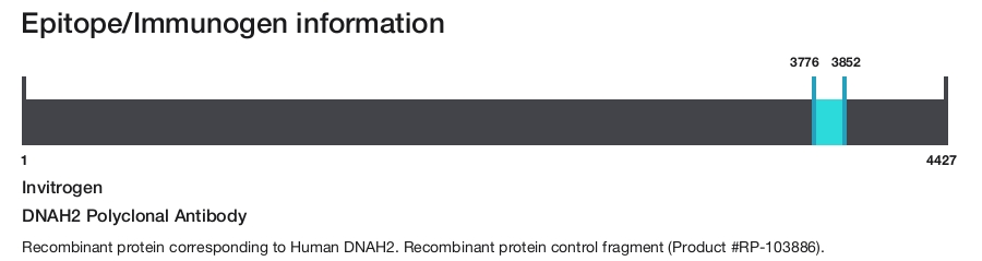 DNAH2 Polyclonal Antibody