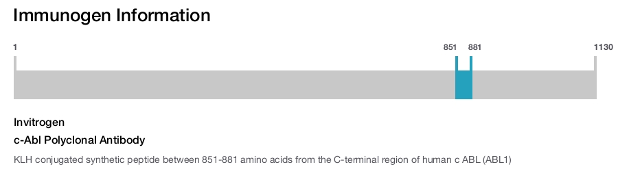 c-Abl Polyclonal Antibody