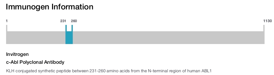 c-Abl Polyclonal Antibody