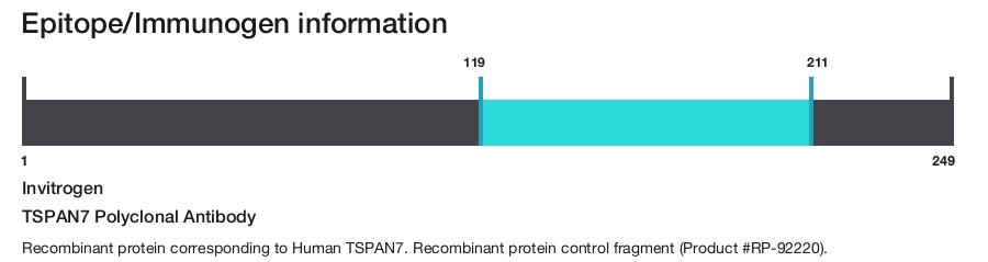 Tspan Icon TSPAN7 Polyclonal Antibody | Invitrogen (PA5-147651)