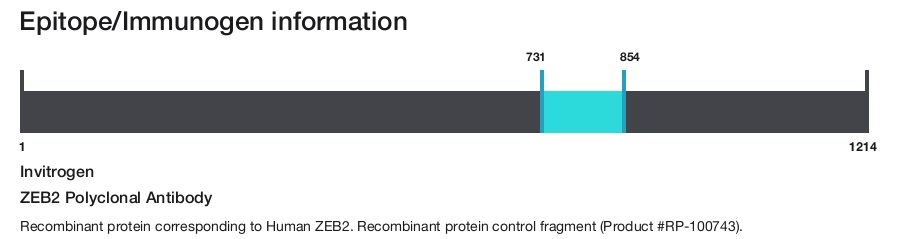 ZEB2 Polyclonal Antibody