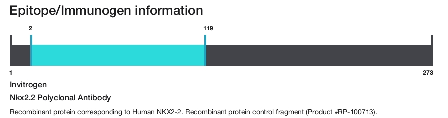 Nkx2.2 Polyclonal Antibody