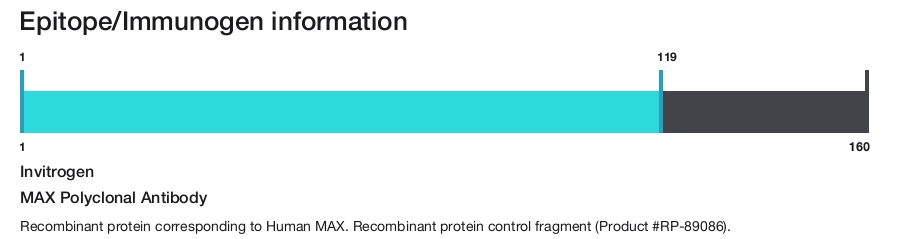 MAX Polyclonal Antibody