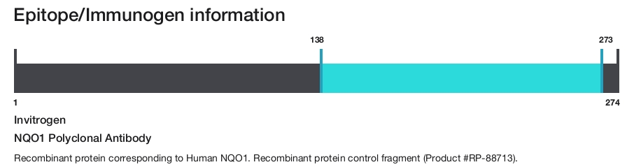 NQO1 Polyclonal Antibody