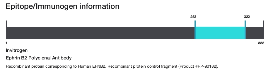Ephrin B2 Polyclonal Antibody