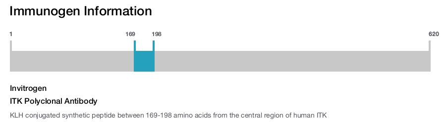 ITK Polyclonal Antibody