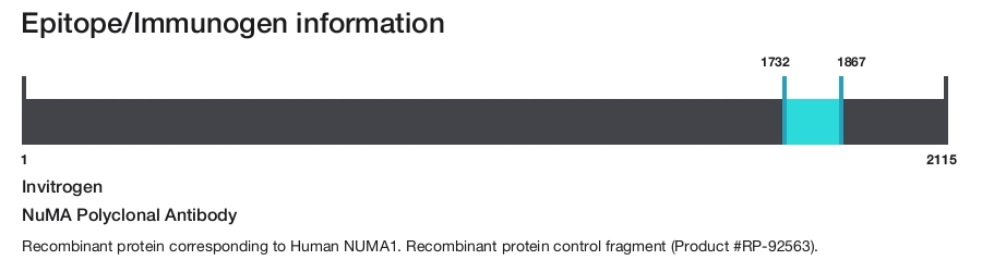 NuMA Polyclonal Antibody