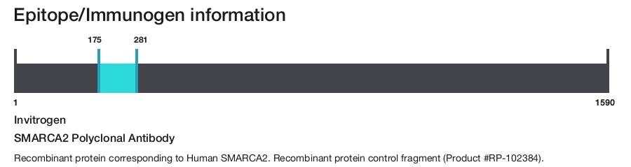 SMARCA2 Polyclonal Antibody