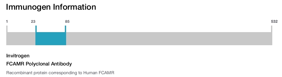 FCAMR Polyclonal Antibody