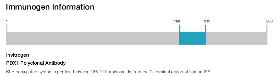 PDX1 Polyclonal Antibody