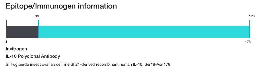 IL-10 Polyclonal Antibody