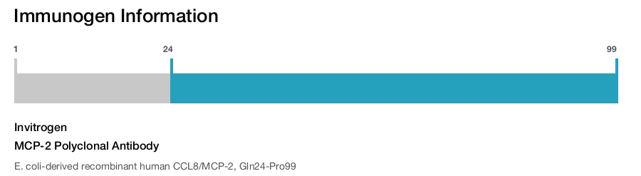 MCP-2 Polyclonal Antibody